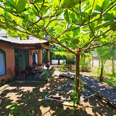 Micheck Beach House Тортугеро Экстерьер фото