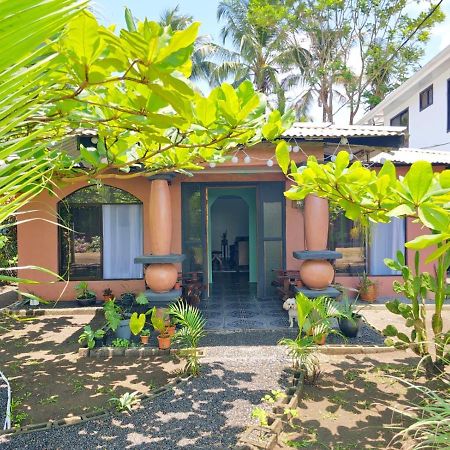 Micheck Beach House Тортугеро Экстерьер фото
