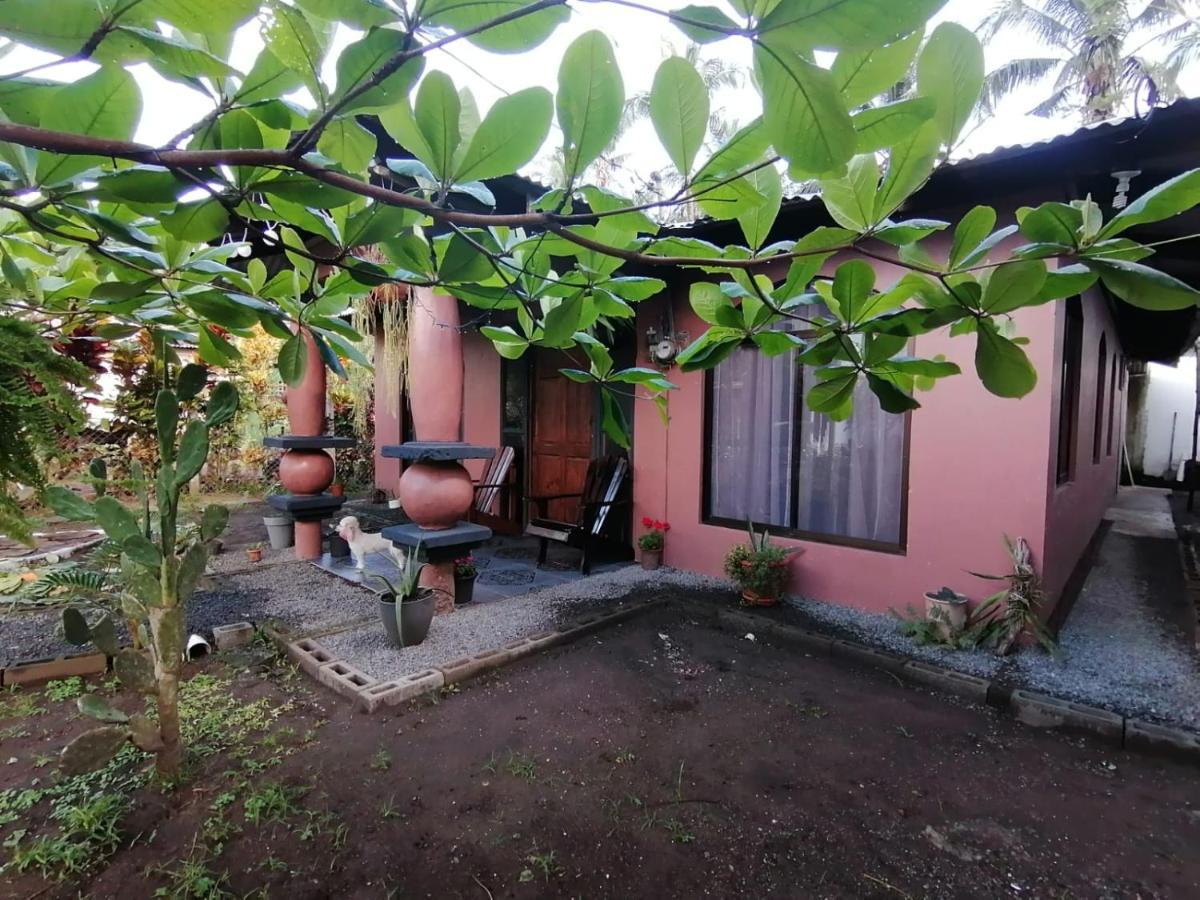 Micheck Beach House Тортугеро Экстерьер фото